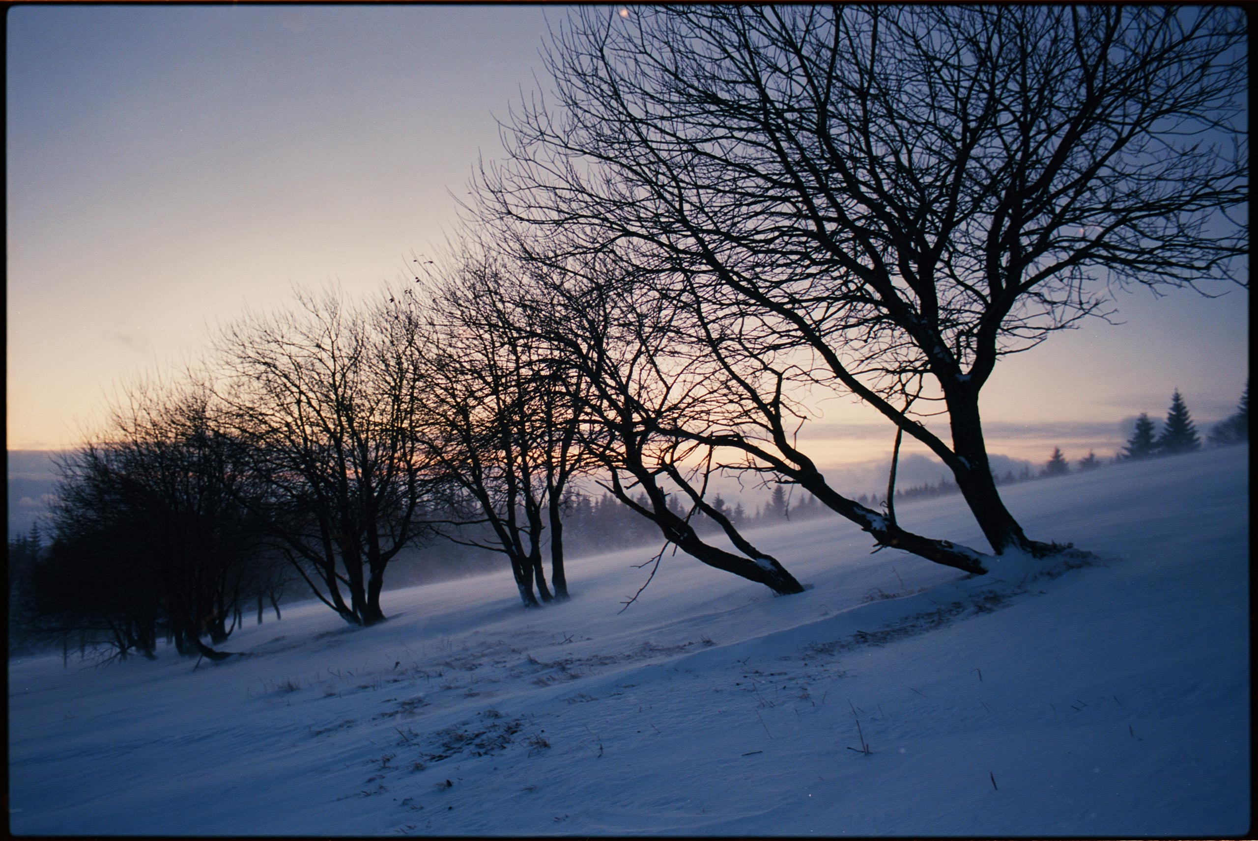 Fotografie eines verschneiten Weges bei klarem und stürmischen Winterwetter im Riesengebirge mit offener Blende und 1/30stel Sekunde Belichtet auf Kodak Gold 200ASA mit einer Kleinbildkamera